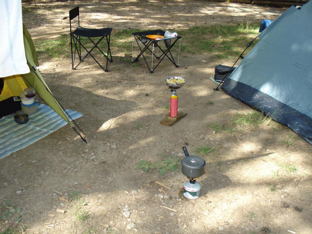 Zwei Campingzelte mit Campingtisch und Campingstühlen auf einem bewaldeten Zeltplatz