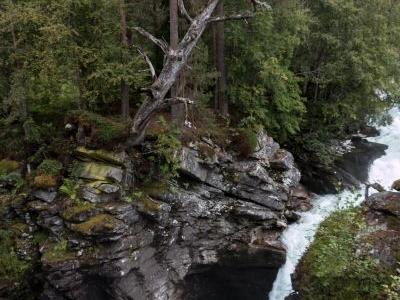 Wildwasserfluss fließt durch eine felsige Schlucht mit Bäumen am Rand