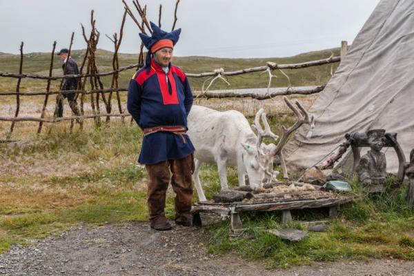 Mann in traditioneller samischer Kleidung steht neben einem weißen Rentier vor einer Holzzäune und einem Zelt