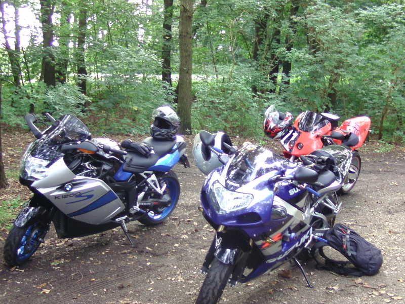 Drei Motorräder stehen auf einem Waldweg umgeben von Bäumen