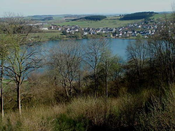 Blick auf einen See mit Bäumen im Vordergrund und einem Dorf am Ufer im Hintergrund