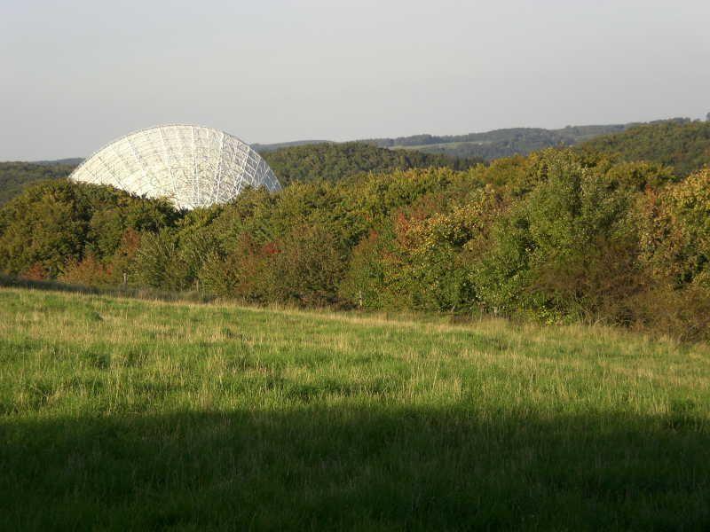 Großes Radioteleskop hinter Bäumen auf einer grünen Wiese