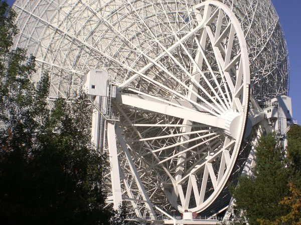 Große weiße Radioteleskop-Schüssel vor blauem Himmel und Bäumen
