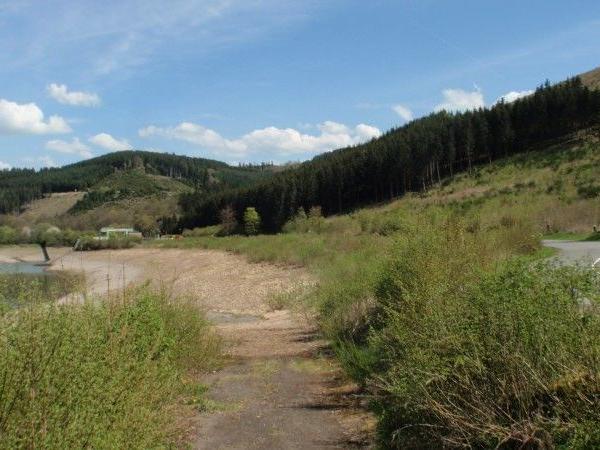 Landschaft mit bewachsenen Hügeln, Büschen und einer schmalen Straße unter einem blauen Himmel