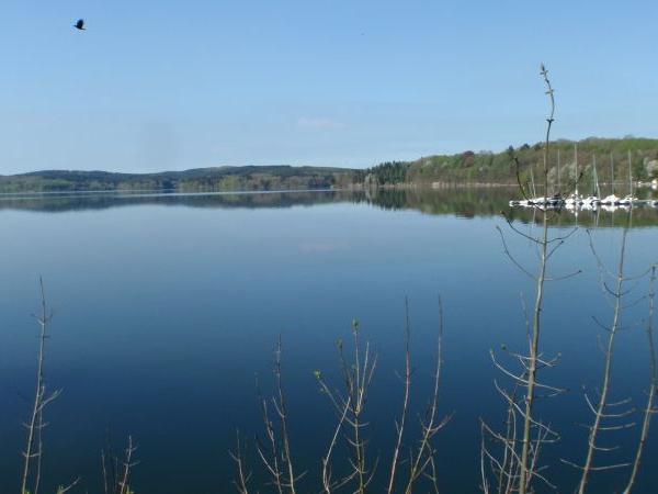 Ruhevoller See mit Zweigen im Vordergrund und einem Vogel am Himmel