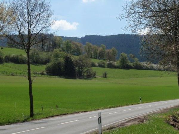 Landstraße mit Bäumen und grünen Wiesen vor bewaldeten Hügeln unter blauem Himmel