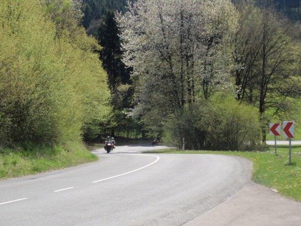 Landstraße mit Motorradfahrern in einer Kurve umgeben von grünen Bäumen und Verkehrsschildern
