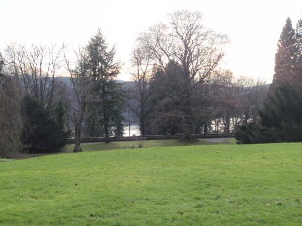 Grüne Wiese mit Bäumen und Blick auf einen See im Hintergrund
